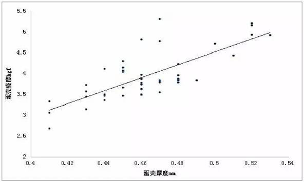 中农贸公司